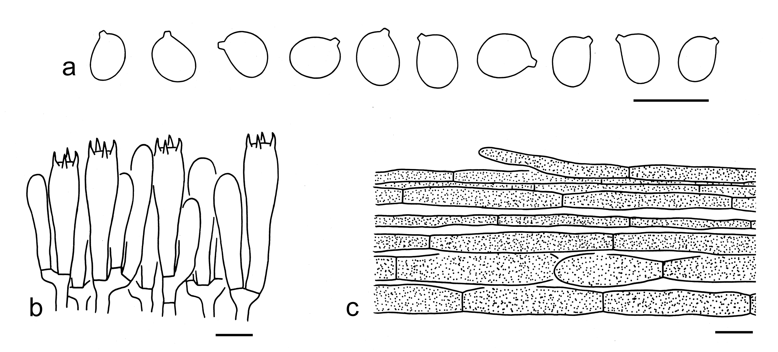 Figure 64